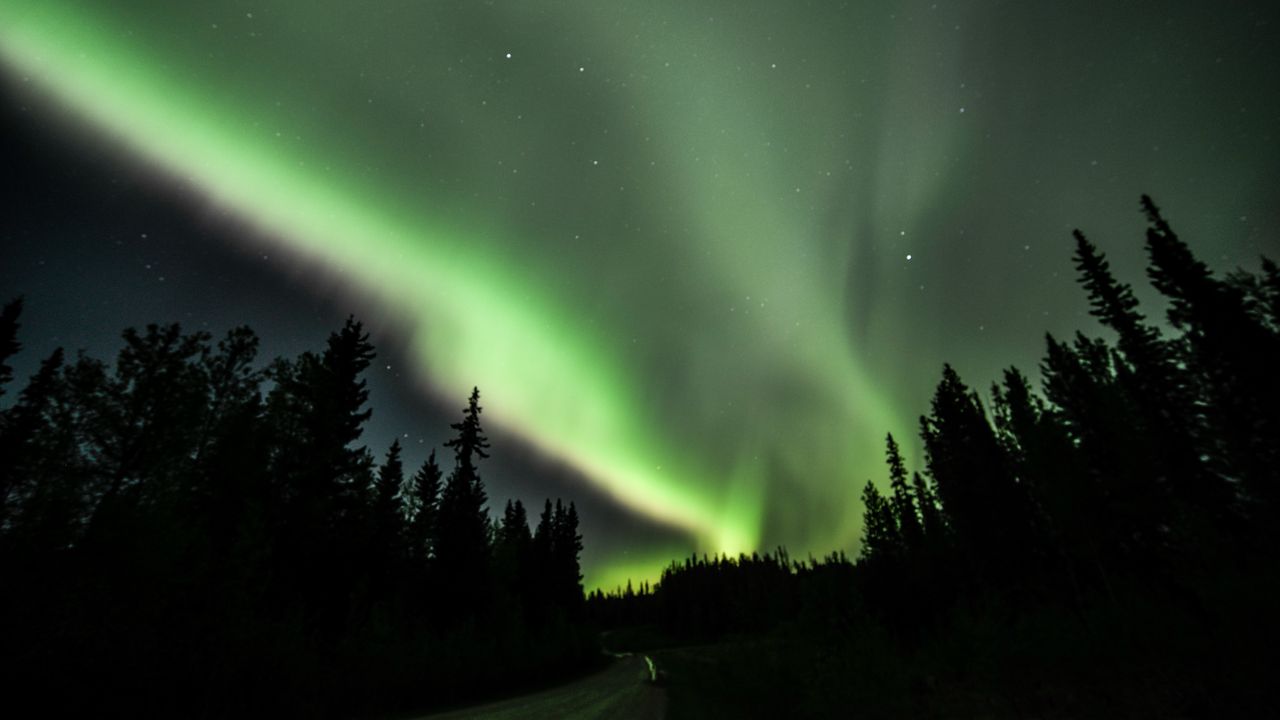Wallpaper road, forest, northern lights, night