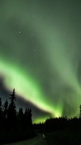 Preview wallpaper road, forest, northern lights, night