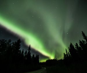 Preview wallpaper road, forest, northern lights, night