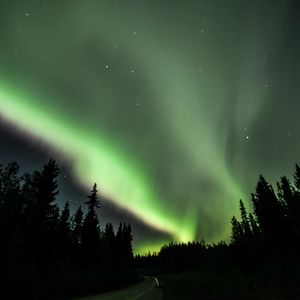 Preview wallpaper road, forest, northern lights, night