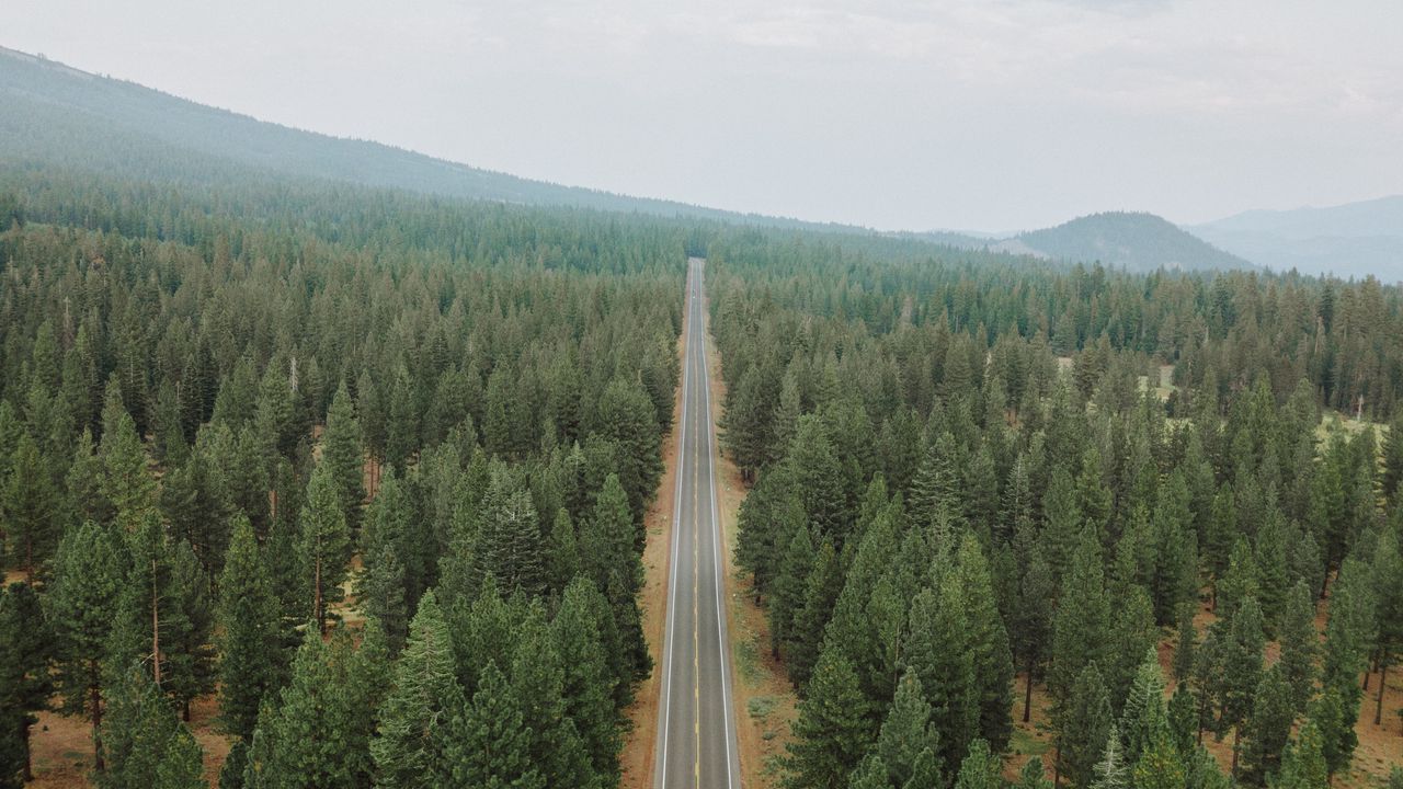 Wallpaper road, forest, panorama, trees, straight, smooth