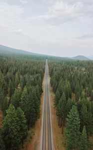 Preview wallpaper road, forest, panorama, trees, straight, smooth