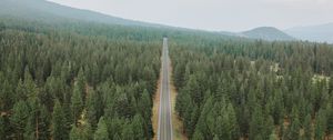 Preview wallpaper road, forest, panorama, trees, straight, smooth