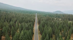 Preview wallpaper road, forest, panorama, trees, straight, smooth