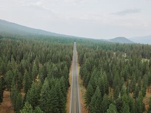 Preview wallpaper road, forest, panorama, trees, straight, smooth