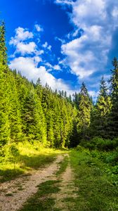 Preview wallpaper road, forest, path, sky