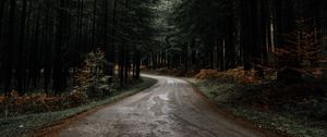 Preview wallpaper road, forest, pines, turn, nature