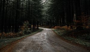 Preview wallpaper road, forest, pines, turn, nature