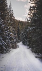 Preview wallpaper road, forest, snow, trees, winter