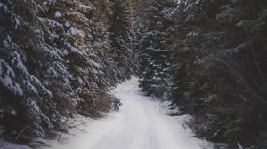 Preview wallpaper road, forest, snow, trees, winter