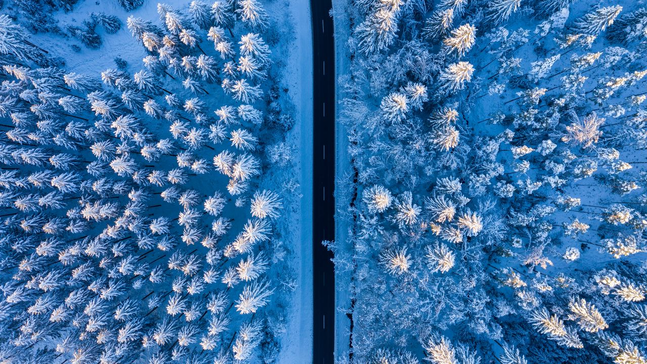 Wallpaper road, forest, snow, aerial view