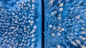 Preview wallpaper road, forest, snow, aerial view