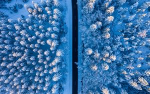 Preview wallpaper road, forest, snow, aerial view