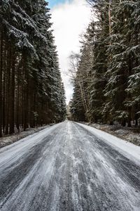 Preview wallpaper road, forest, snow, pines, trees, winter