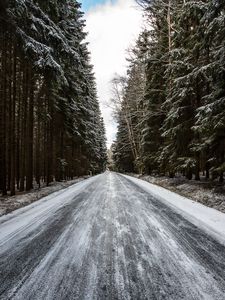 Preview wallpaper road, forest, snow, pines, trees, winter