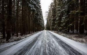 Preview wallpaper road, forest, snow, pines, trees, winter