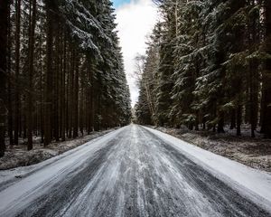 Preview wallpaper road, forest, snow, pines, trees, winter