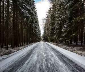 Preview wallpaper road, forest, snow, pines, trees, winter