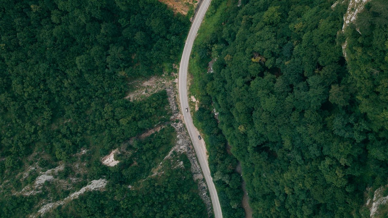 Wallpaper road, forest, top view, trees