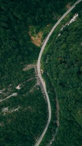 Preview wallpaper road, forest, top view, trees