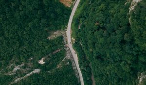 Preview wallpaper road, forest, top view, trees