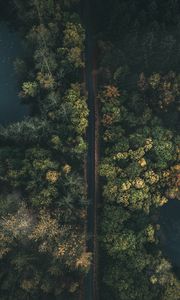 Preview wallpaper road, forest, top view, fog