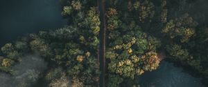 Preview wallpaper road, forest, top view, fog