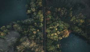Preview wallpaper road, forest, top view, fog