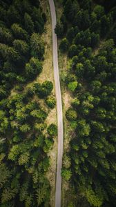 Preview wallpaper road, forest, top view, trees