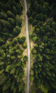 Preview wallpaper road, forest, top view, trees