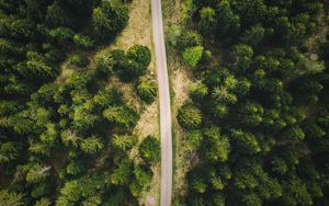 Preview wallpaper road, forest, top view, trees