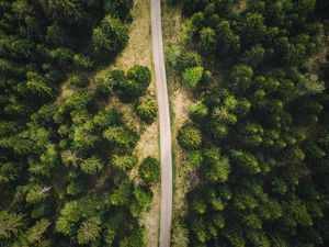 Preview wallpaper road, forest, top view, trees