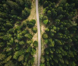 Preview wallpaper road, forest, top view, trees