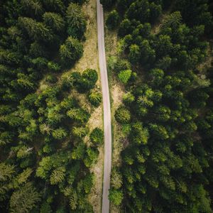 Preview wallpaper road, forest, top view, trees