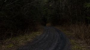 Preview wallpaper road, forest, trees, nature, turn