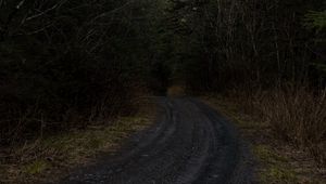 Preview wallpaper road, forest, trees, nature, turn