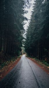 Preview wallpaper road, forest, trees, asphalt, wet