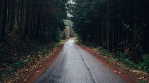 Preview wallpaper road, forest, trees, asphalt, wet