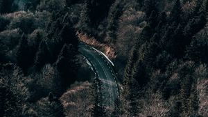 Preview wallpaper road, forest, trees, aerial view