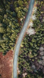 Preview wallpaper road, forest, trees, aerial view, wavy