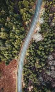 Preview wallpaper road, forest, trees, aerial view, wavy