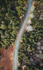 Preview wallpaper road, forest, trees, aerial view, wavy