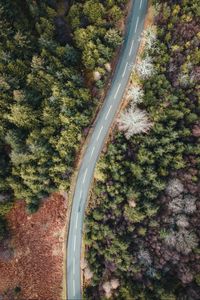 Preview wallpaper road, forest, trees, aerial view, wavy