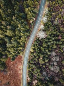 Preview wallpaper road, forest, trees, aerial view, wavy