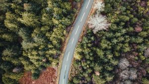 Preview wallpaper road, forest, trees, aerial view, wavy