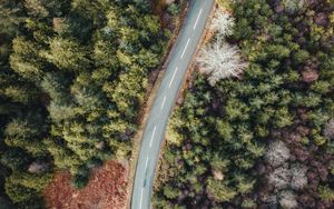 Preview wallpaper road, forest, trees, aerial view, wavy