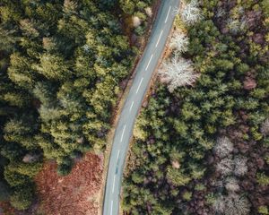 Preview wallpaper road, forest, trees, aerial view, wavy