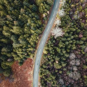 Preview wallpaper road, forest, trees, aerial view, wavy