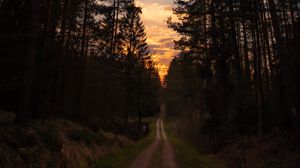 Preview wallpaper road, forest, trees, sunset, sky