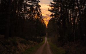 Preview wallpaper road, forest, trees, sunset, sky